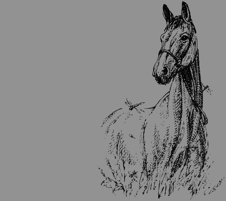 Долгая дорога домой (сборник) с илл. - img64.png