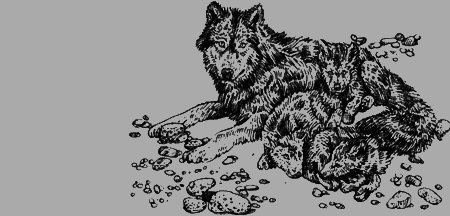 Долгая дорога домой (сборник) с илл. - img70.png