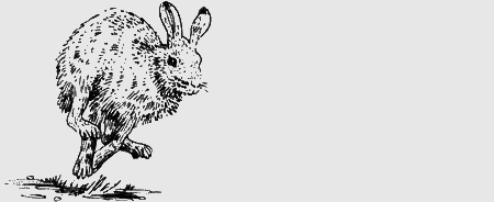 Долгая дорога домой (сборник) с илл. - img73.png