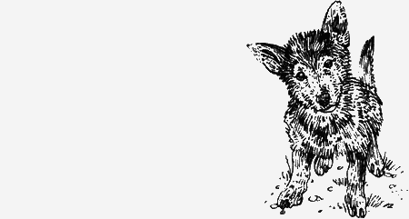 Долгая дорога домой (сборник) с илл. - img74.png