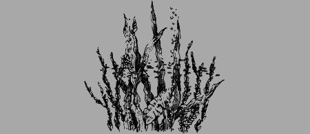 Долгая дорога домой (сборник) с илл. - img78.png