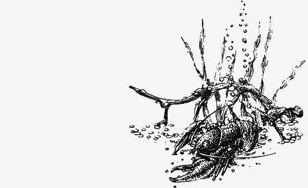 Долгая дорога домой (сборник) с илл. - img79.png