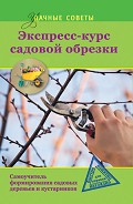 Серия книг Удачные советы