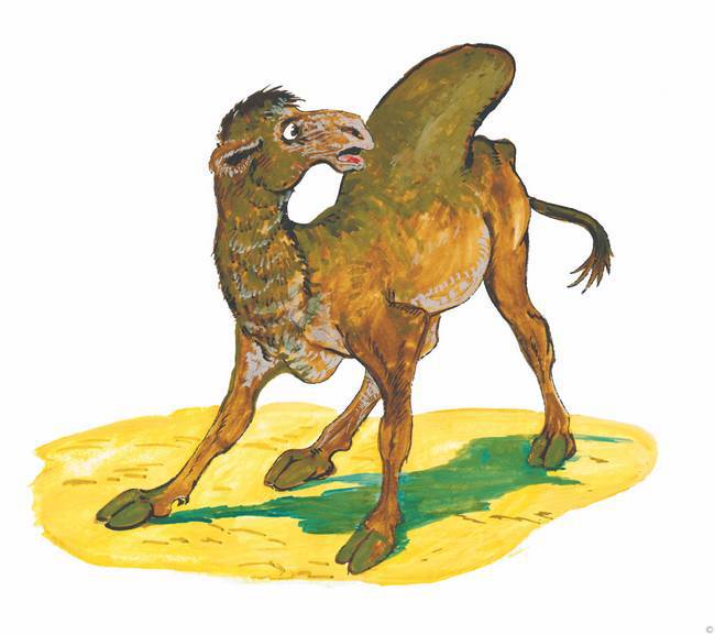 Слоненок и другие сказки - i_015.jpg