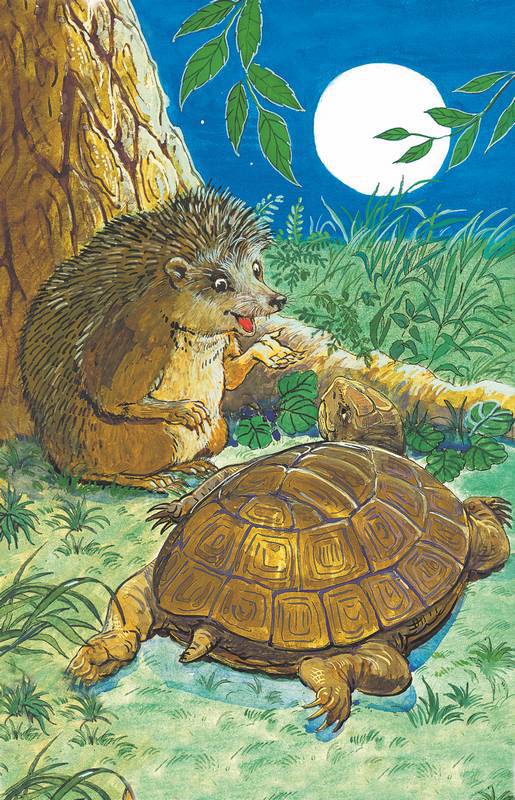 Слоненок и другие сказки - i_016.jpg