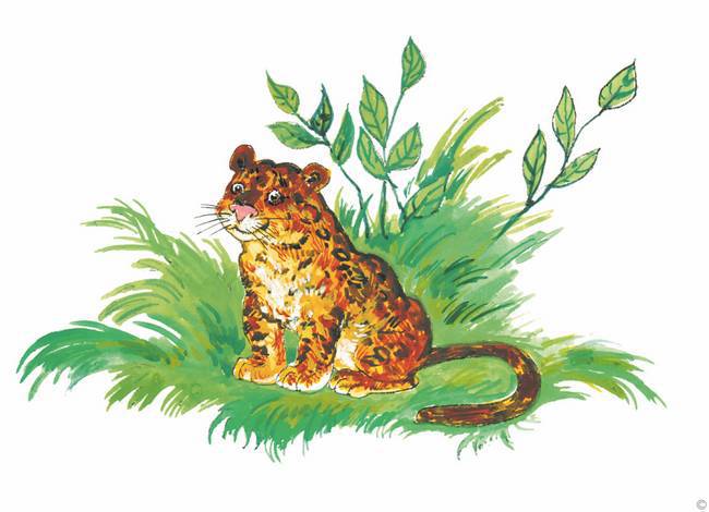 Слоненок и другие сказки - i_019.jpg