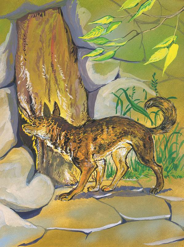 Слоненок и другие сказки - i_029.jpg