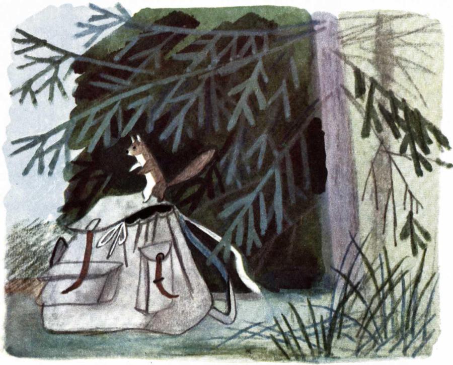 Воробьиное озеро (авторский сборник) - i_048.jpg