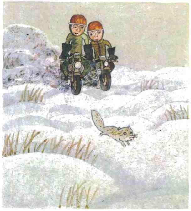 Недопёсок (с иллюстрациями) - i_011.jpg