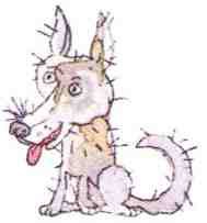 Недопёсок (с иллюстрациями) - i_015.jpg