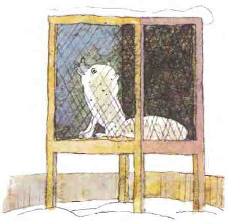 Недопёсок (с иллюстрациями) - i_035.jpg