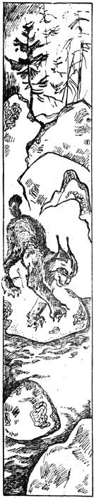 Таёжные рассказы - i_005.jpg