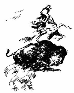 Ошибка Одинокого Бизона - _4.jpg