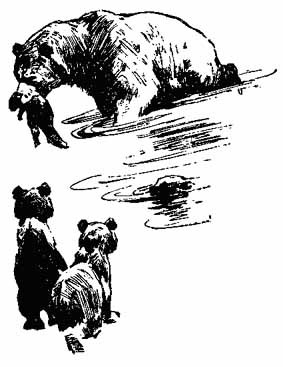 Ошибка Одинокого Бизона - _8.jpg