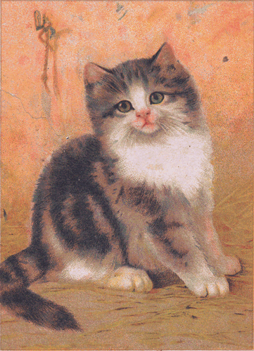 Бабушкина книжка - i_020.png