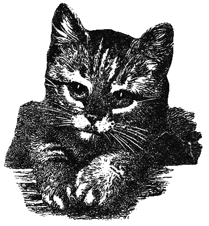 Бабушкина книжка - i_022.png