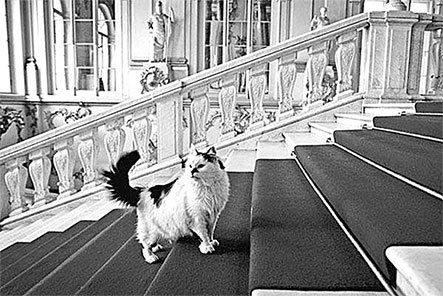 Люди Зимнего дворца. Монаршие особы, их фавориты и слуги - i_516.jpg