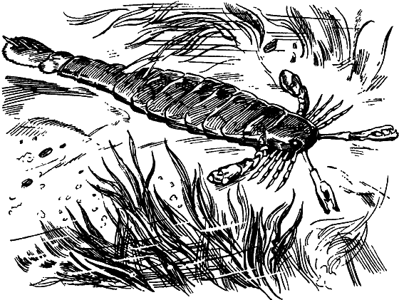 Как развивалась жизнь на Земле - i_003.png