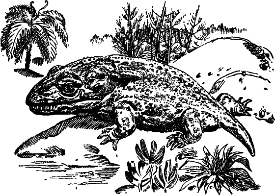 Как развивалась жизнь на Земле - i_008.png