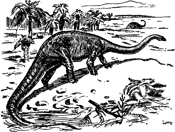 Как развивалась жизнь на Земле - i_010.png