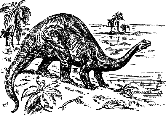 Как развивалась жизнь на Земле - i_011.png