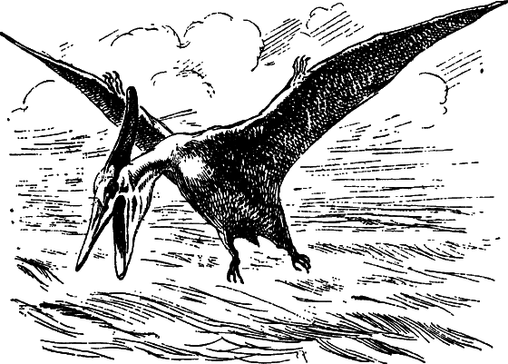 Как развивалась жизнь на Земле - i_018.png