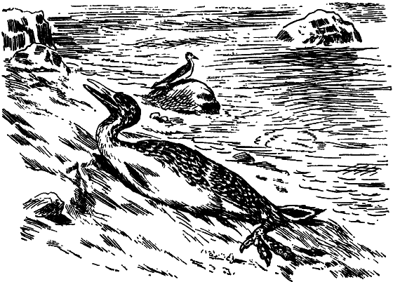 Как развивалась жизнь на Земле - i_019.png