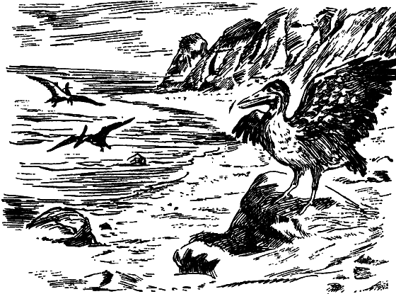 Как развивалась жизнь на Земле - i_020.png