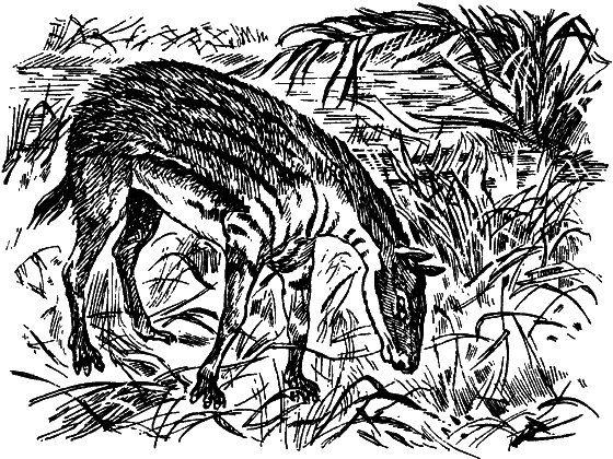 Как развивалась жизнь на Земле - i_021.png