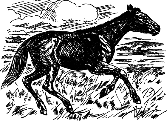 Как развивалась жизнь на Земле - i_022.png