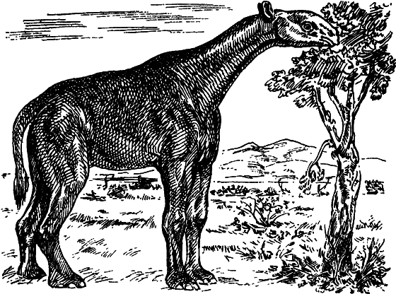 Как развивалась жизнь на Земле - i_024.png