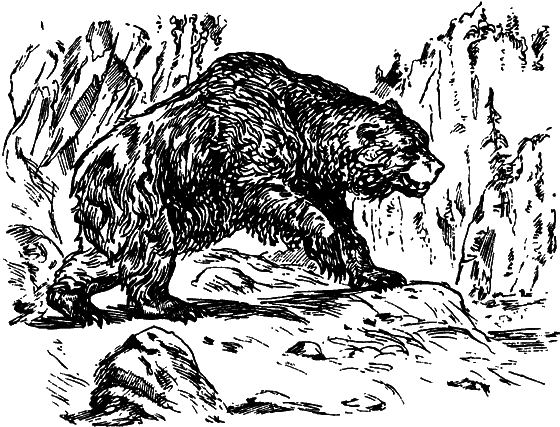 Как развивалась жизнь на Земле - i_028.png