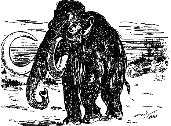 Как развивалась жизнь на Земле - i_029.png