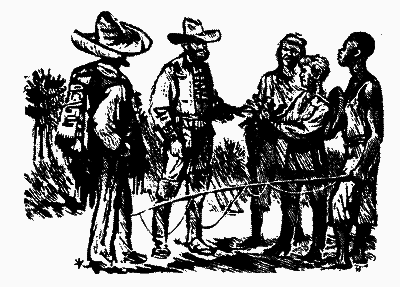 Охотники за орхидеями (худ. В. Юнк) - pic_5.png