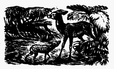 Охотники за орхидеями (худ. В. Юнк) - pic_7.png