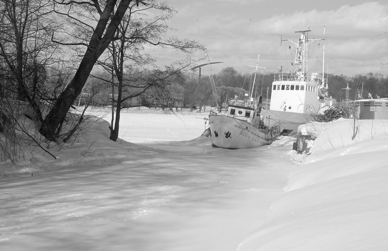 На берегах реки Ждановки - i_122.jpg