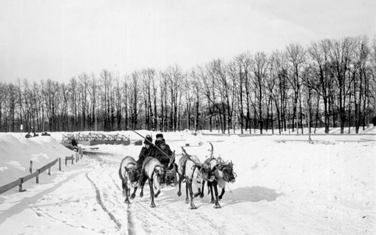 На берегах реки Ждановки - i_125.jpg