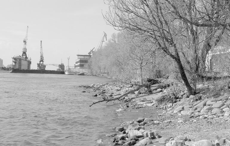 На берегах реки Ждановки - i_161.jpg