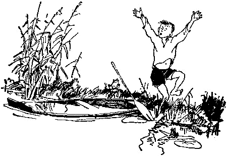 Необычайные приключения Робинзона Кукурузо и его верного друга одноклассника Павлуши Завгороднего в школе, дома и на необитаемом острове поблизости села Васюковки - pic_14.png