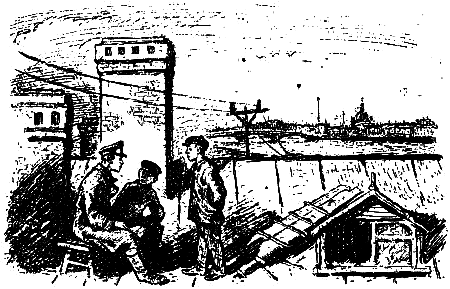 Зеленые цепочки (журн. вариант) - pic_3.png