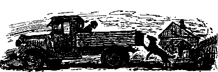 Зеленые цепочки (журн. вариант) - pic_6.png