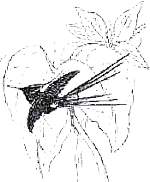 Амазонка: призраки зеленого ада - i_010.png