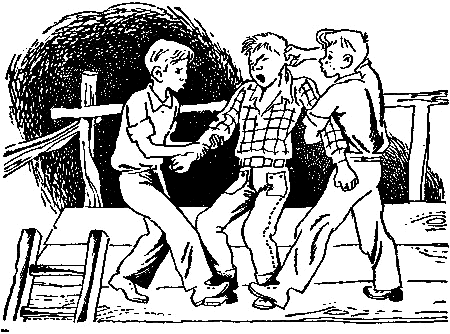 Незнакомец из тринадцатой квартиры, или Похитители ищут потерпевшего… (с илл.) - pic_7.png