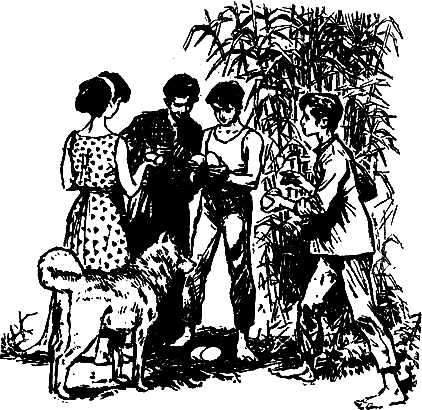 На берегу Севана (др. изд.) - pic_4.png