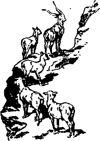 На берегу Севана (др. изд.) - pic_22.png