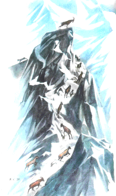 Пленники Барсова ущелья (илл. А.Площанского) - pic_4.png