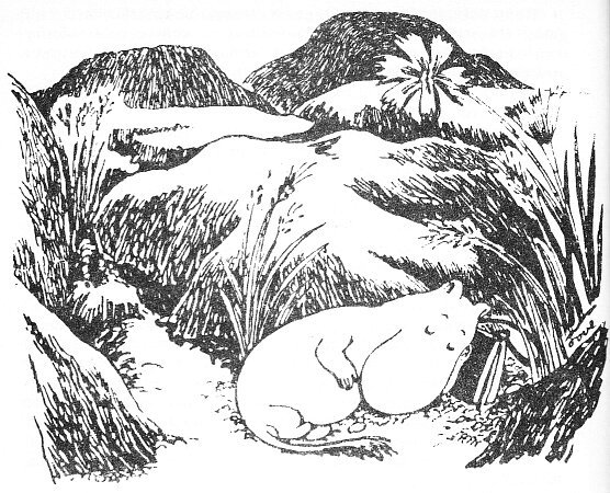 Шляпа волшебника (с иллюстрациями) - _22.jpeg