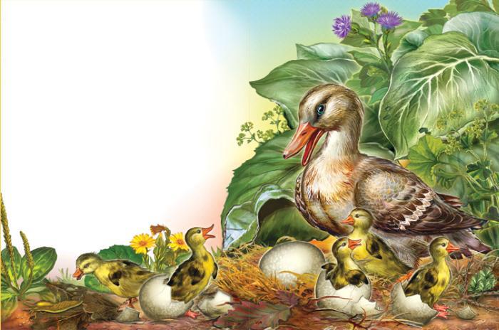 Сказки Андерсена (с илл.) - ugly_duckling_03.jpg