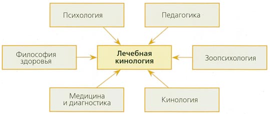 Лечебная кинология. Теоретические подходы и практическая реализация (с иллюстрациями) - pic_18.jpg