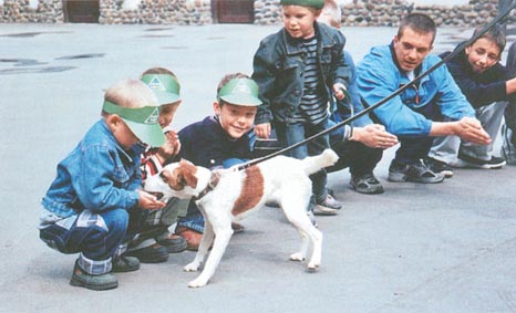 Лечебная кинология. Теоретические подходы и практическая реализация (с иллюстрациями) - pic_25.jpg